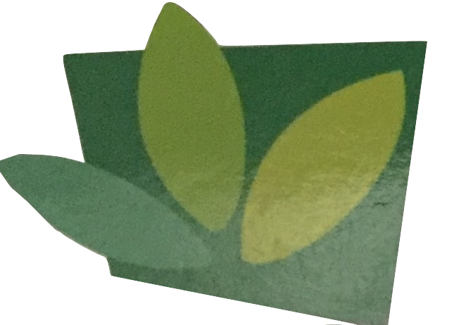 J & M Landscaping LLC